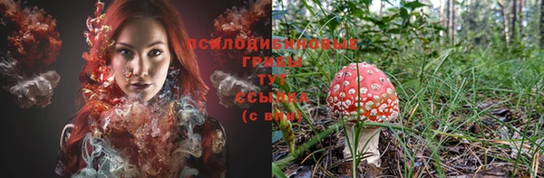 стафф Абдулино